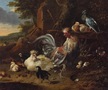 Melchior de Hondecoeter, Kogut i kura z kurczętami i gołębiami, olej, płótno, 96 x 111,5 cm, nr inw. ZKW/5879